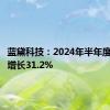 蓝黛科技：2024年半年度净利润增长31.2%