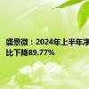 盛景微：2024年上半年净利润同比下降89.77%