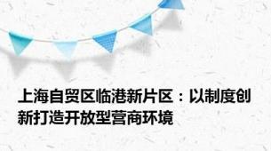 上海自贸区临港新片区：以制度创新打造开放型营商环境