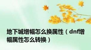 地下城增幅怎么换属性（dnf增幅属性怎么转换）