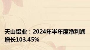 天山铝业：2024年半年度净利润增长103.45%