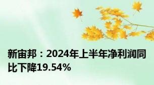 新宙邦：2024年上半年净利润同比下降19.54%