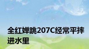 全红婵跳207C经常平摔进水里