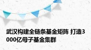 武汉构建全链条基金矩阵 打造3000亿母子基金集群