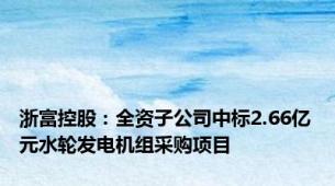 浙富控股：全资子公司中标2.66亿元水轮发电机组采购项目