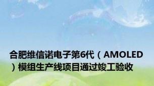 合肥维信诺电子第6代（AMOLED）模组生产线项目通过竣工验收