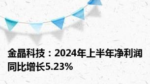 金晶科技：2024年上半年净利润同比增长5.23%