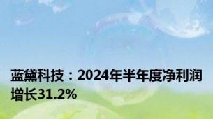 蓝黛科技：2024年半年度净利润增长31.2%