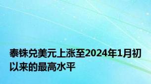 泰铢兑美元上涨至2024年1月初以来的最高水平