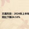 方直科技：2024年上半年净利润同比下降24.53%