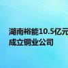 湖南裕能10.5亿元投资成立铜业公司