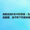 蚂蚁庄园8月20日答案：为什么人的前额、鼻子和下巴更容易出油