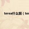 terea什么烟（ter）