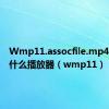 Wmp11.assocfile.mp4要下载什么播放器（wmp11）