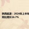 陕西能源：2024年上半年净利润同比增长16.7%