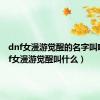 dnf女漫游觉醒的名字叫啥（dnf女漫游觉醒叫什么）