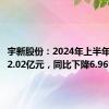 宇新股份：2024年上半年净利润2.02亿元，同比下降6.96%