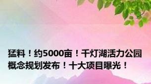 猛料！约5000亩！千灯湖活力公园概念规划发布！十大项目曝光！