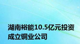 湖南裕能10.5亿元投资成立铜业公司