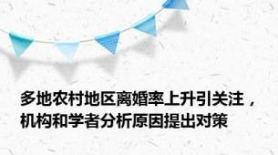 多地农村地区离婚率上升引关注，机构和学者分析原因提出对策