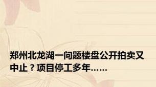 郑州北龙湖一问题楼盘公开拍卖又中止？项目停工多年……