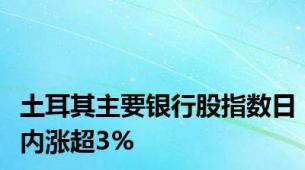 土耳其主要银行股指数日内涨超3%