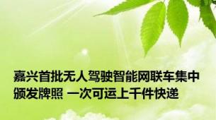 嘉兴首批无人驾驶智能网联车集中颁发牌照 一次可运上千件快递