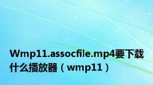 Wmp11.assocfile.mp4要下载什么播放器（wmp11）