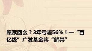 愿赎回么？3年亏超56%！一“百亿级”广发基金将“解禁”