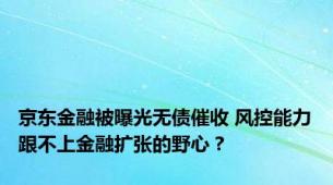 京东金融被曝光无债催收 风控能力跟不上金融扩张的野心？