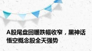 A股尾盘回暖跌幅收窄，黑神话悟空概念股全天强势