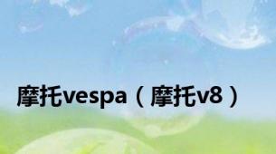 摩托vespa（摩托v8）