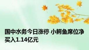 国中水务今日涨停 小鳄鱼席位净买入1.14亿元