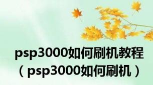 psp3000如何刷机教程（psp3000如何刷机）