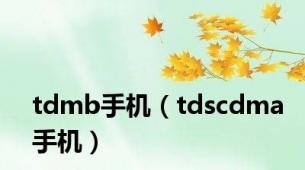 tdmb手机（tdscdma手机）