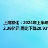 上海家化：2024年上半年净利润2.38亿元 同比下降20.93%