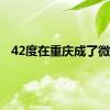 42度在重庆成了微热