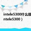 intele5300什么级别（intele5300）