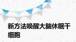 新方法唤醒大脑休眠干细胞