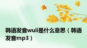 韩语发音wuli是什么意思（韩语发音mp3）