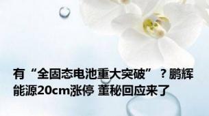 有“全固态电池重大突破”？鹏辉能源20cm涨停 董秘回应来了