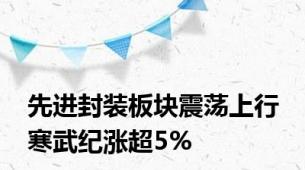 先进封装板块震荡上行 寒武纪涨超5%