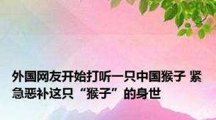 外国网友开始打听一只中国猴子 紧急恶补这只“猴子”的身世