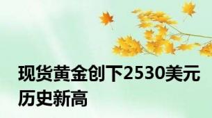 现货黄金创下2530美元历史新高