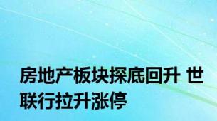 房地产板块探底回升 世联行拉升涨停