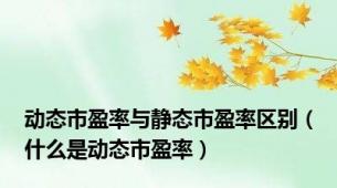 动态市盈率与静态市盈率区别（什么是动态市盈率）