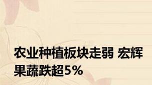 农业种植板块走弱 宏辉果蔬跌超5%