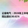 云意电气：2024年上半年净利润同比增长30.61%