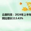 云鼎科技：2024年上半年净利润同比增长113.43%