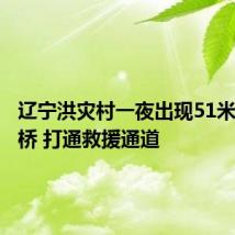 辽宁洪灾村一夜出现51米机械化桥 打通救援通道